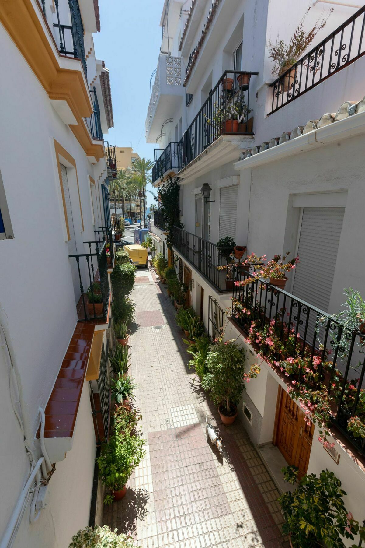 Hostal La Pilarica Marbella Eksteriør bilde