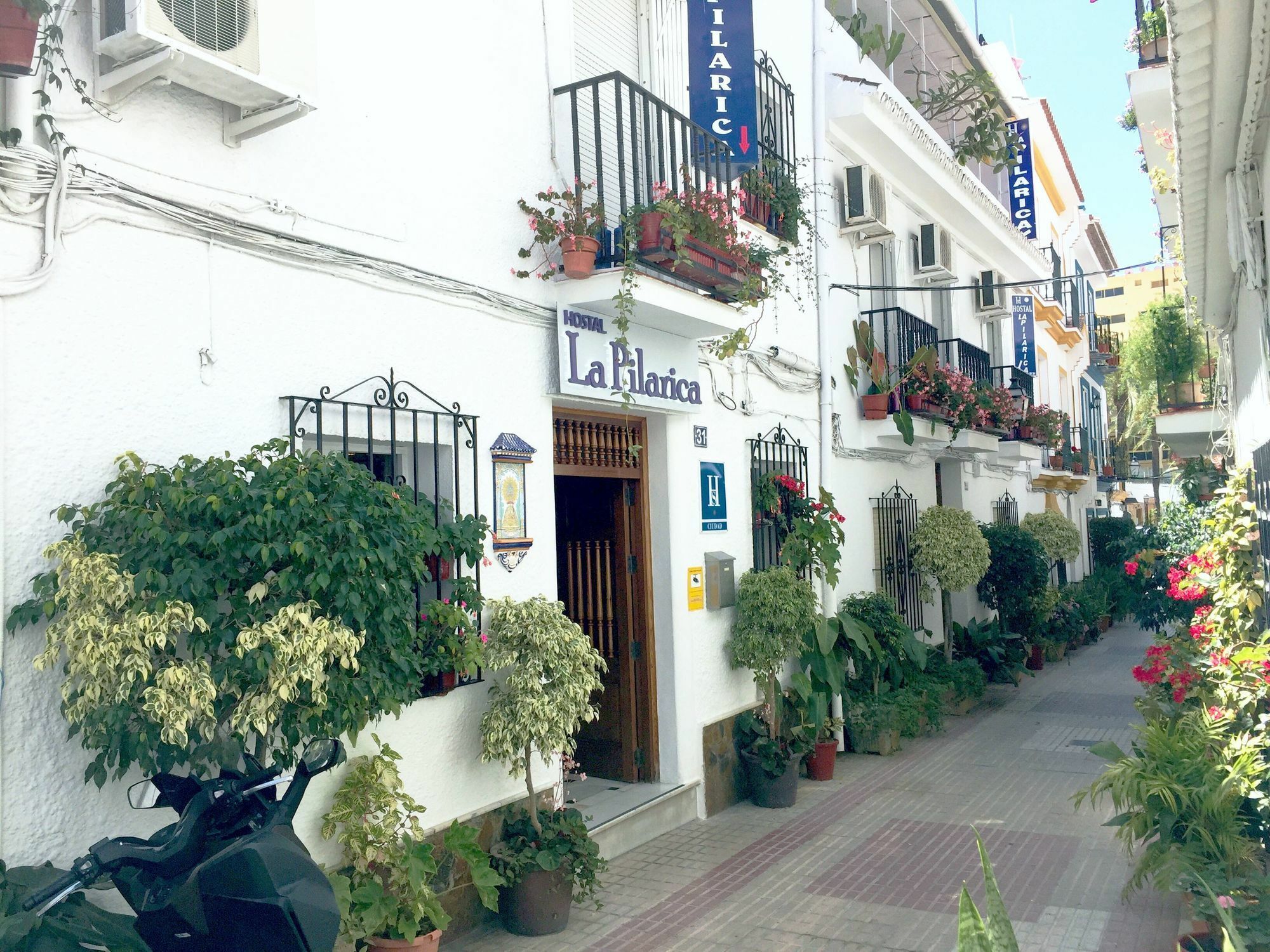 Hostal La Pilarica Marbella Eksteriør bilde