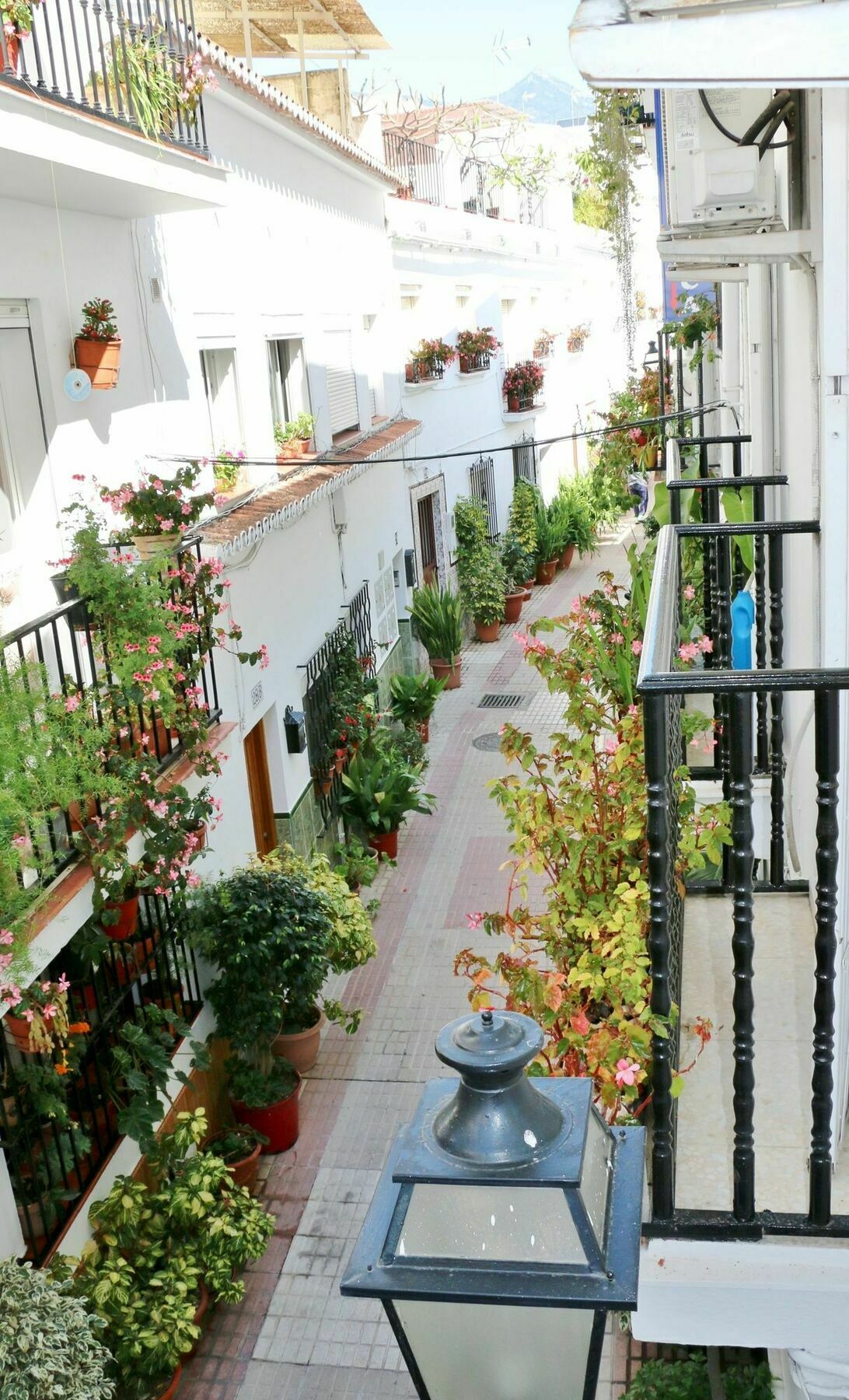 Hostal La Pilarica Marbella Eksteriør bilde