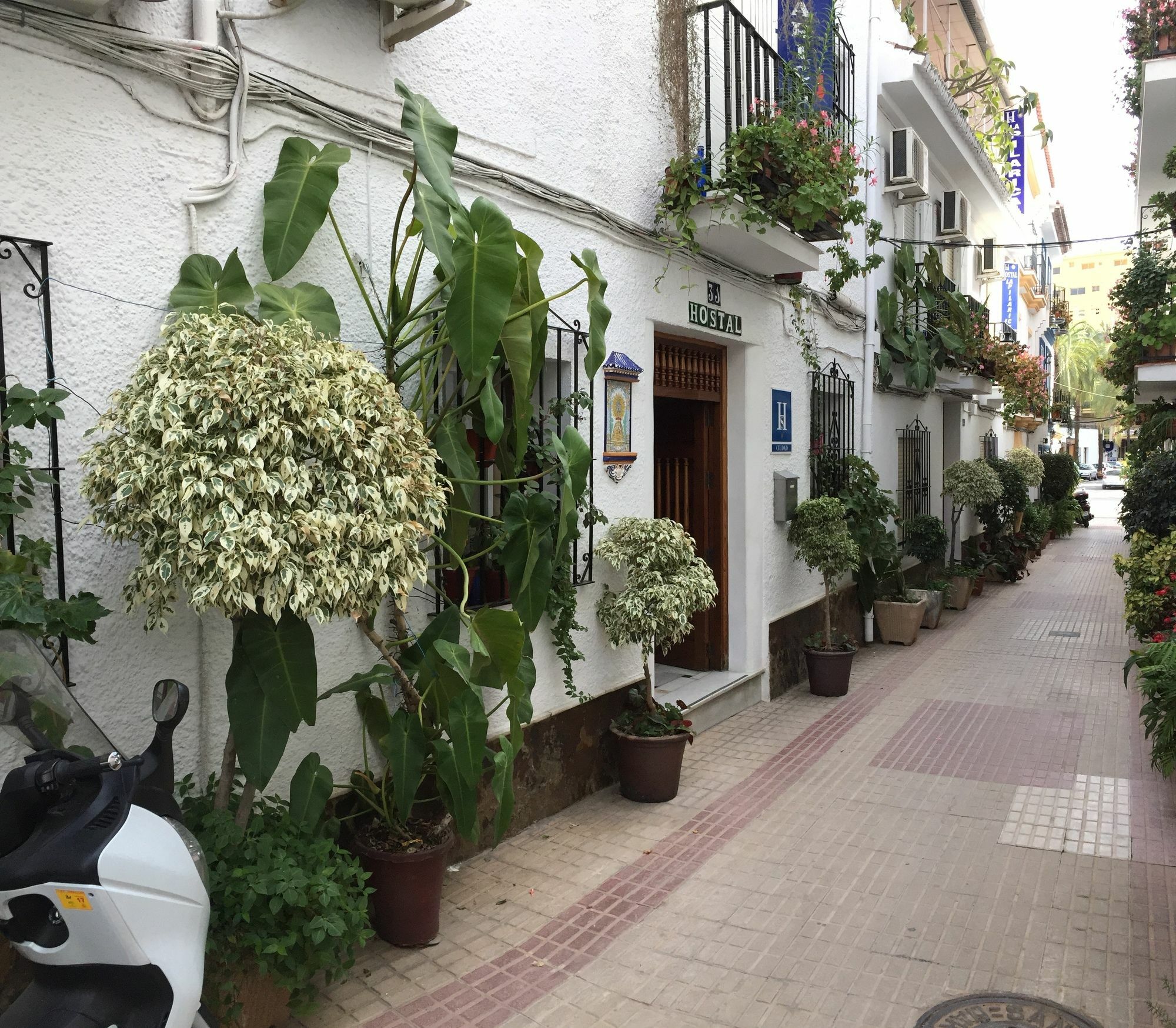 Hostal La Pilarica Marbella Eksteriør bilde